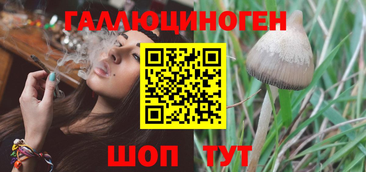 Шатура  Галлюциногенные грибы GOLDEN TEACHER  Вход с VPN 