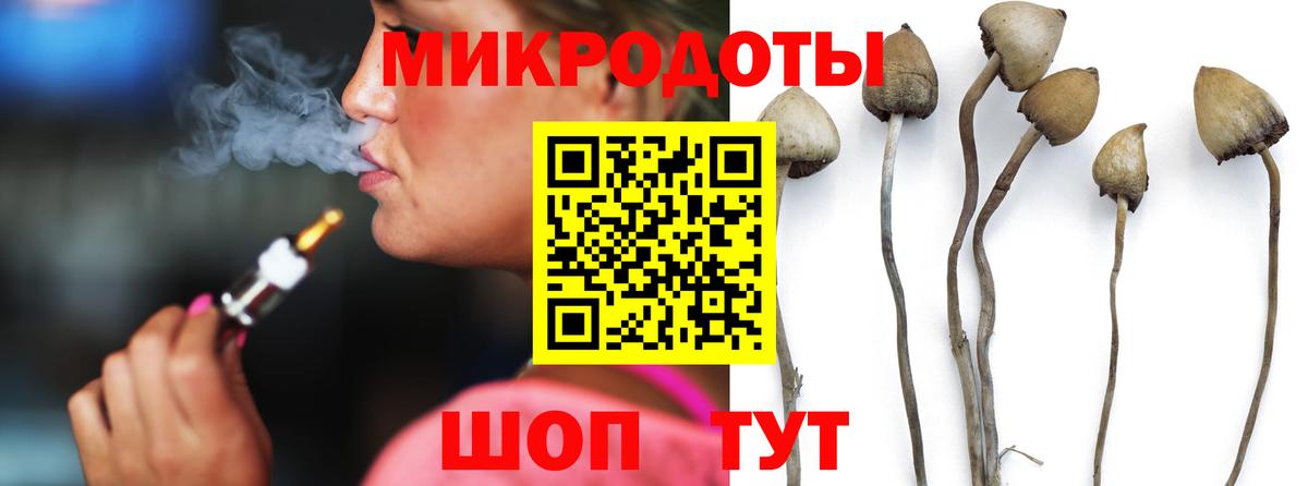 Псилоцибиновые грибы мухоморы Шатура